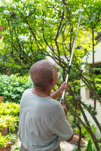 Senior retired asian man pruning tree in home backyard during free time