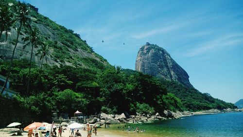 Group of people on beach