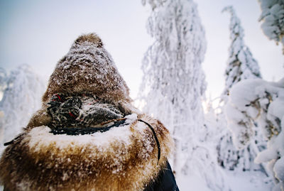 Close-up of man wearing warm clothing during winter