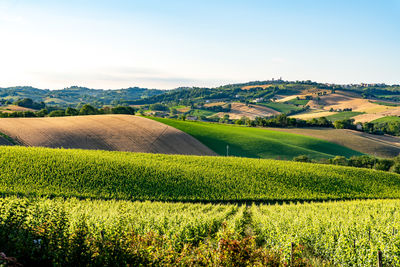 landscape