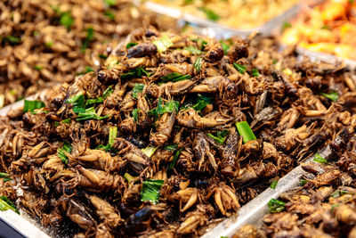 Close-up of fried locusts for sale
