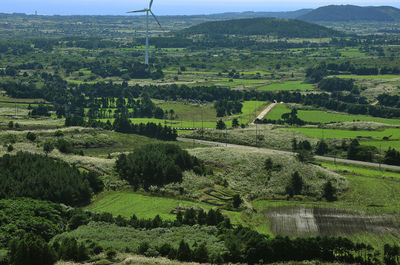 Scenic view of agricultural field