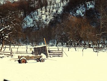 View of bare trees in winter