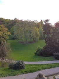 Scenic view of grassy field against sky