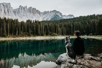 Rear view of woman sitting with dog by lake at forest