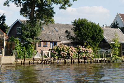 Trees and house by lake against sky