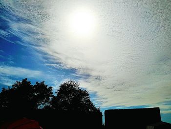 Low angle view of trees against sky