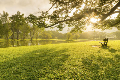 Man on golf course on field against sky