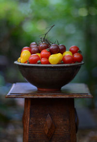 Close-up of tomatoes on wood