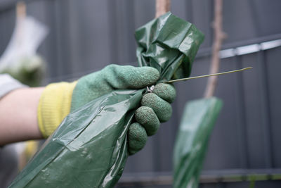 A person plants trees in the garden. ecology concept