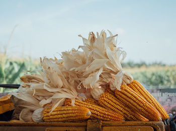 Close-up of stack on table against sky