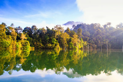 Scenic view of lake by trees against sky