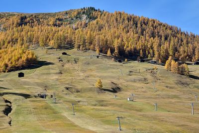 High angle view of trees on landscape against sky