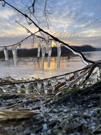 winter