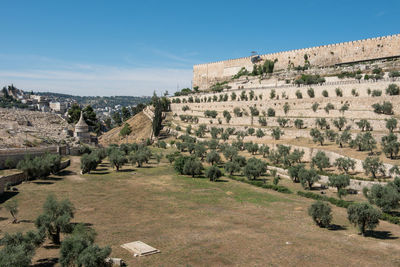 The old city walls of jerusalem, israel. view from the gethsemane garden, mount of olives