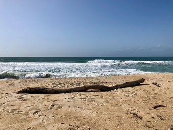 Scenic view of beach against clear sky