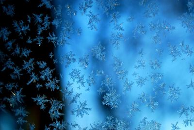 Snowflakes on window