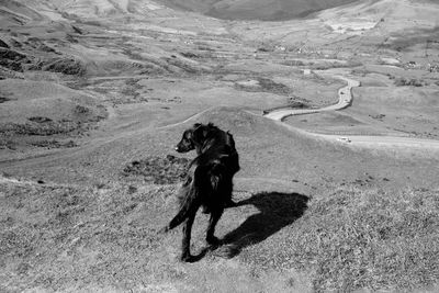 High angle view of senior man on land