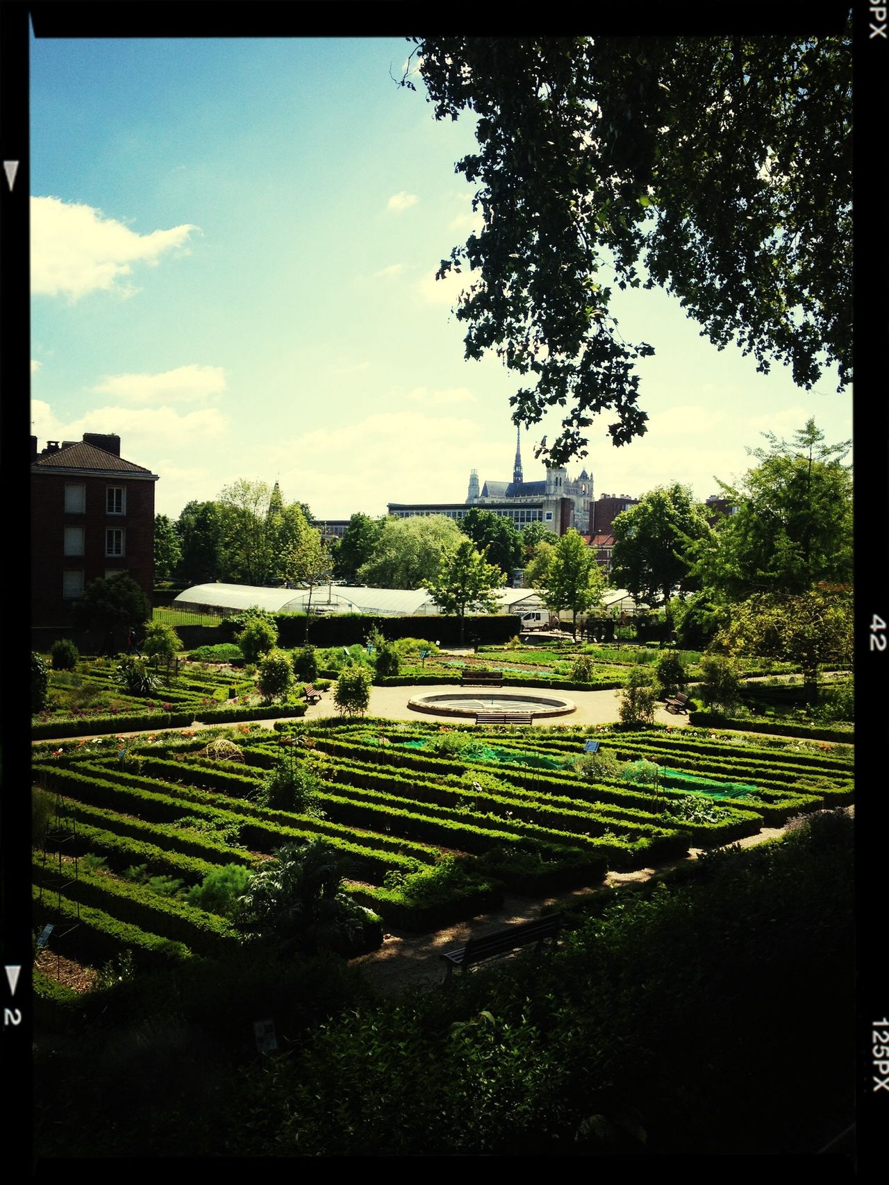 Jardin des plantes 