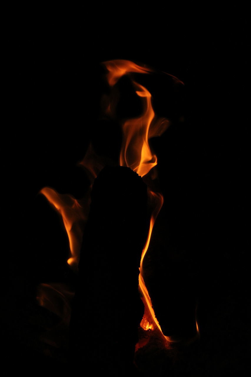 burning, fire, darkness, flame, black background, heat, campfire, nature, studio shot, orange color, close-up, motion, night, no people, glowing, indoors, light, dark, black