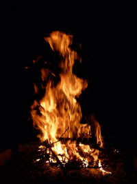 Close-up of bonfire at night