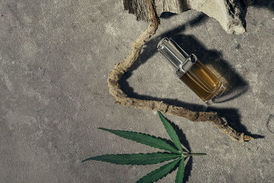 Glass bottle with cbd oil, thc tincture, hemp leaf on gray marble background. naturalness. cbd oil