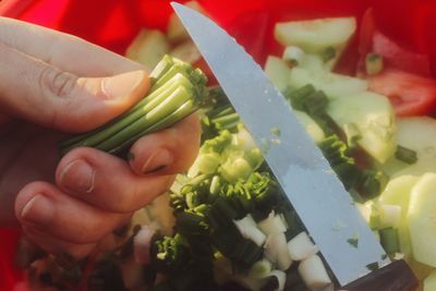 Close-up of hand holding vegetables