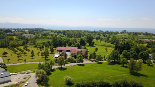 High angle view of trees on landscape against sky