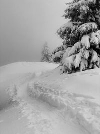 Snow covered land and trees against sky during winter