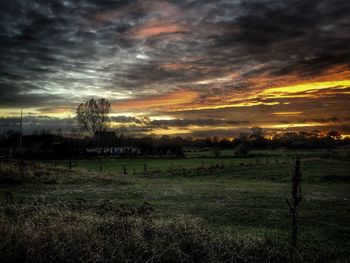 Trees on field against sky at sunset