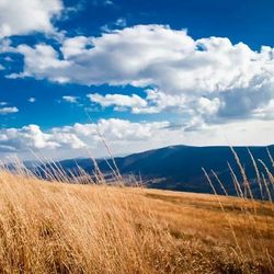 Scenic view of landscape against cloudy sky