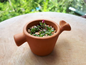 High angle view of potted plant on table