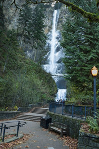 Scenic view of waterfall against trees