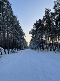 Trees on snow covered field against sky
