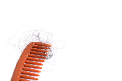Close-up of ice cream against white background
