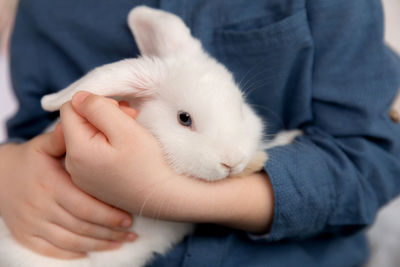 Midsection of man holding rabbit