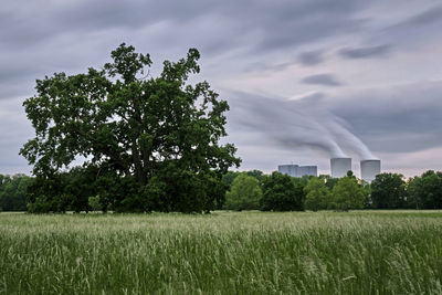 Scenic view of field against sky