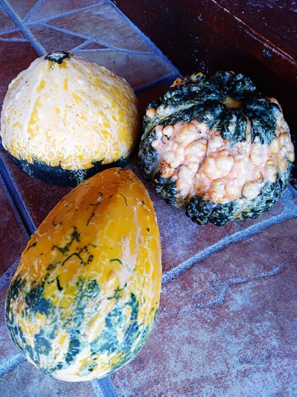 HIGH ANGLE VIEW OF FRUITS IN PLATE