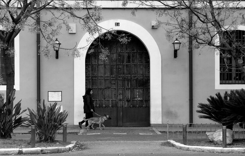 building exterior, architecture, built structure, tree, house, door, entrance, street, residential structure, window, residential building, full length, building, city, day, arch, outdoors, closed