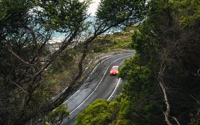 High angle view of road amidst trees in forest