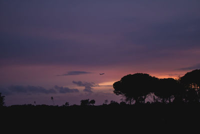 Silhouette trees on field against romantic sky at sunset