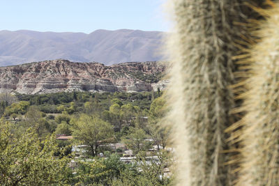 View of landscape against mountain range