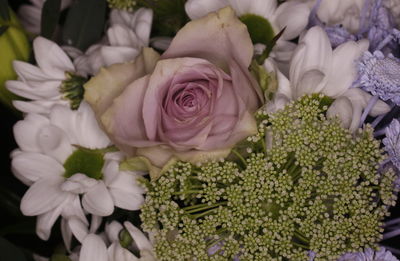 Close-up of rose bouquet