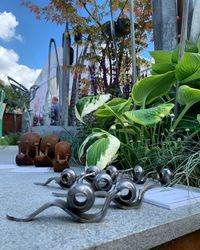 Close-up of potted plants against trees