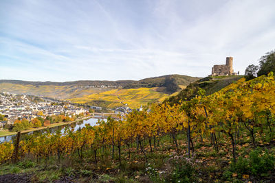 Scenic view of landscape against sky during autumn