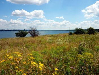 Scenic view of sea against sky