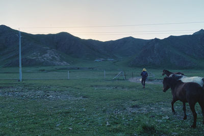Horses on field against mountains