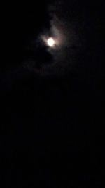 night