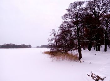 Trees by lake against sky during winter