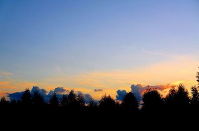 Silhouette trees against sky during sunset